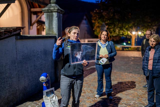 Foto: Andreas Häusler