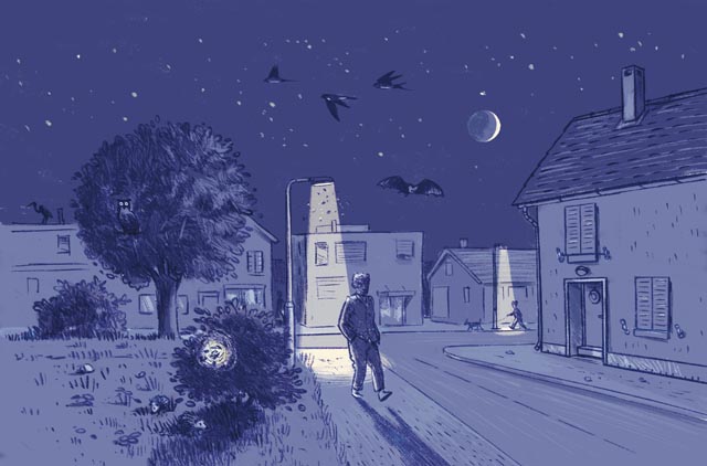 Vorbildlich: Kunstlicht leuchtet nur, wo nötig. Die Nacht kann sich entfalten, ohne dass unsere Sicherheit beeinträchtigt wird. Illustration: Girod Gründisch
